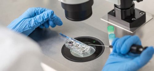Medicina rigenerativa: creata una ‘colla’ cellulare che ripara ferite e rigenera organi e tessuti