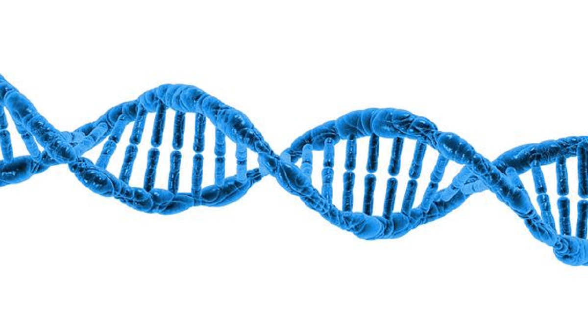 L’uomo continua ad evolversi, uno studio traccia la comparsa di 155 nuovi geni