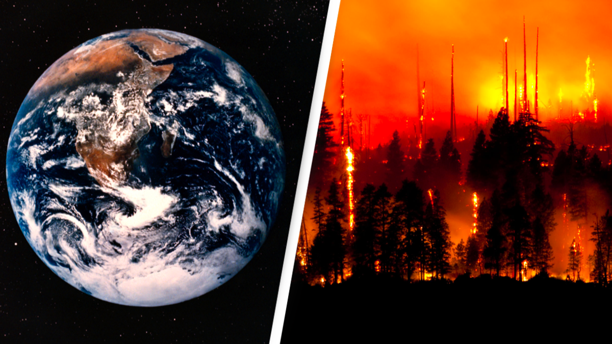 La Terra potrebbe affrontare un’estinzione di massa entro il 2100. Lo studio