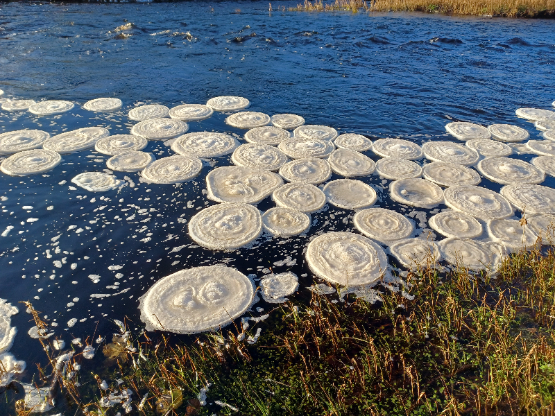 Scozia: strani dischi di ghiaccio sul fiume Bladnoch. Cosa sono?