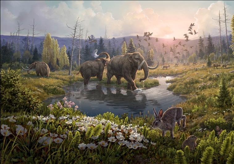 groenlandia-1.jpg