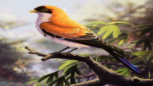 Argentina: scoperti resti di una nuova specie di uccello dell’era dei dinosauri