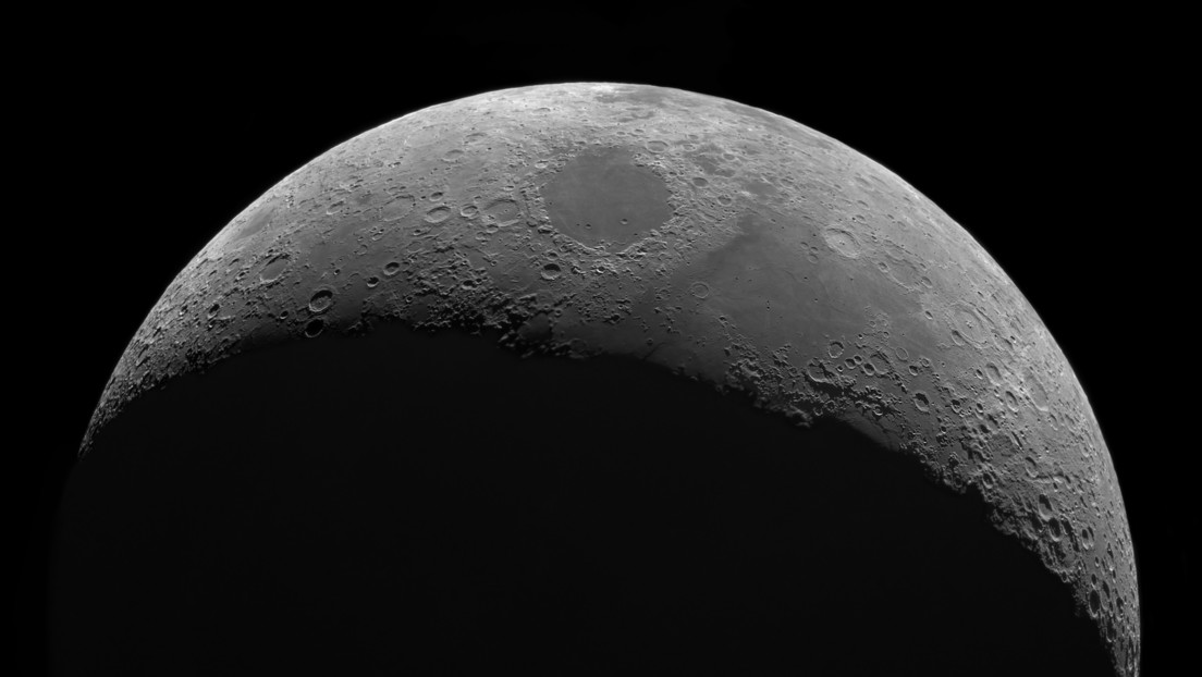 luna-1.jpg