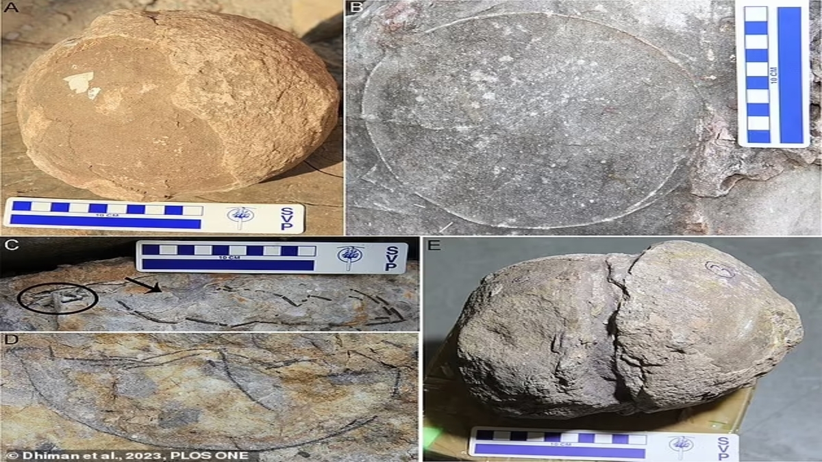 India: scoperte oltre 250 uova di dinosauro incluso un raro ovum-in-ovo