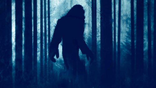 Uno scienziato risolve il mistero di Bigfoot