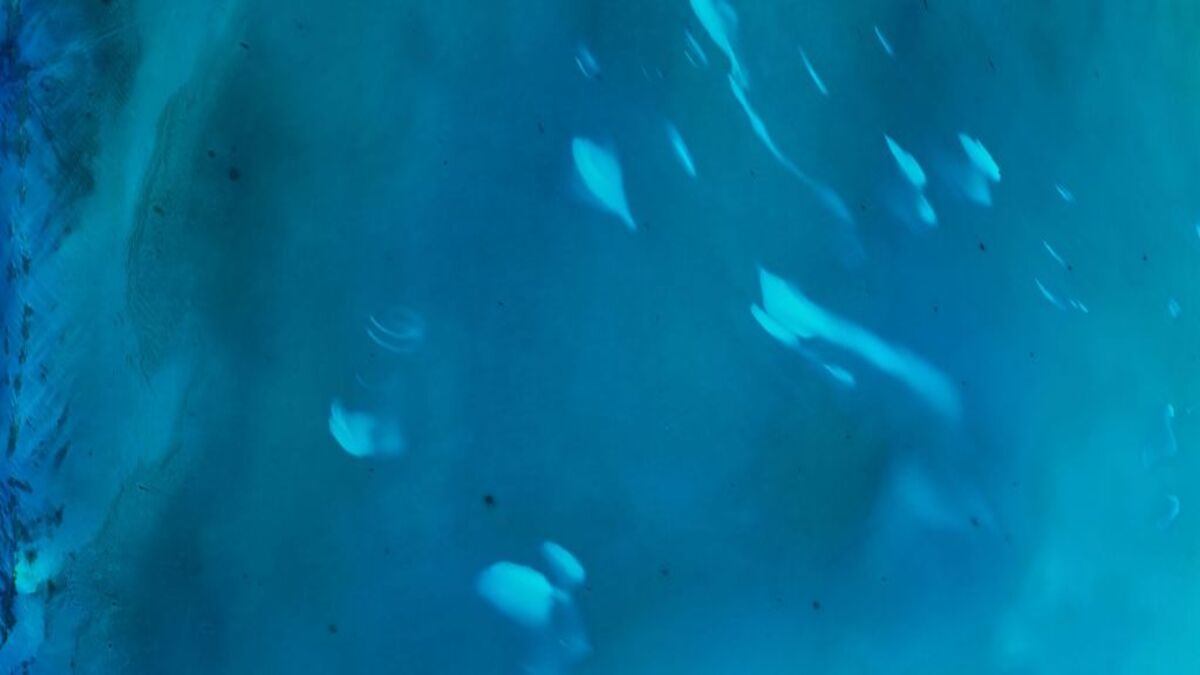 Misteriose macchie bianche avvistate vicino alle Bahamas. Cosa sono?