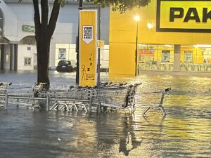 alluvione auckland