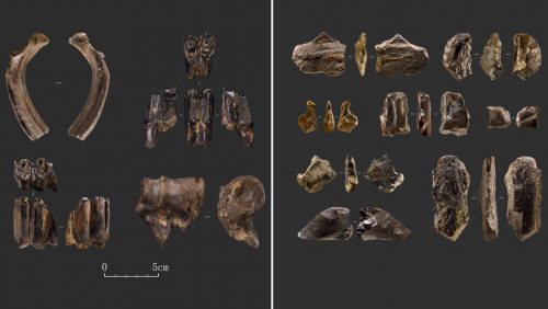 Cina: scoperto sito del Paleolitico, risalente ad oltre 40.000 anni fa