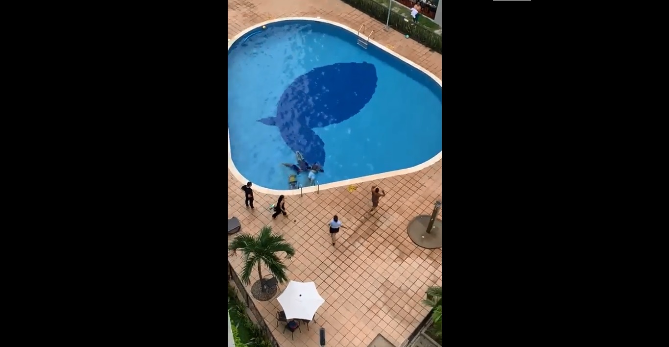 Colombia: scossa elettrica colpisce due bambini e due adulti in una piscina. VIDEO