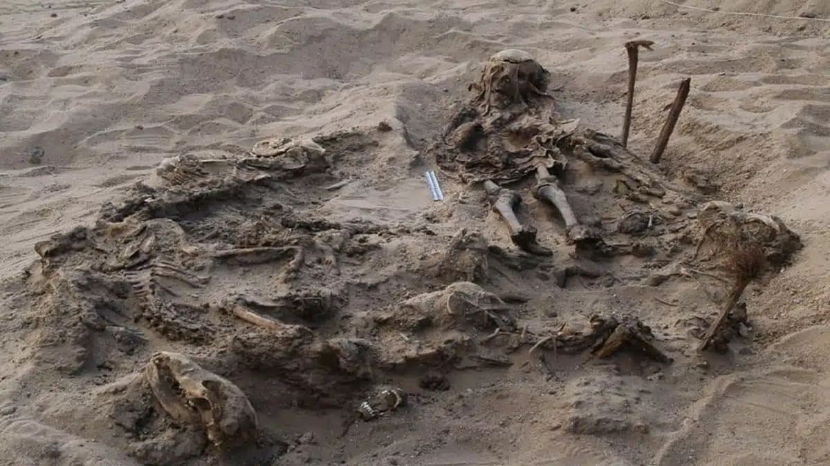 Egitto: archeologi trovano un bambino sepolto con 142 cani in un’antica necropoli