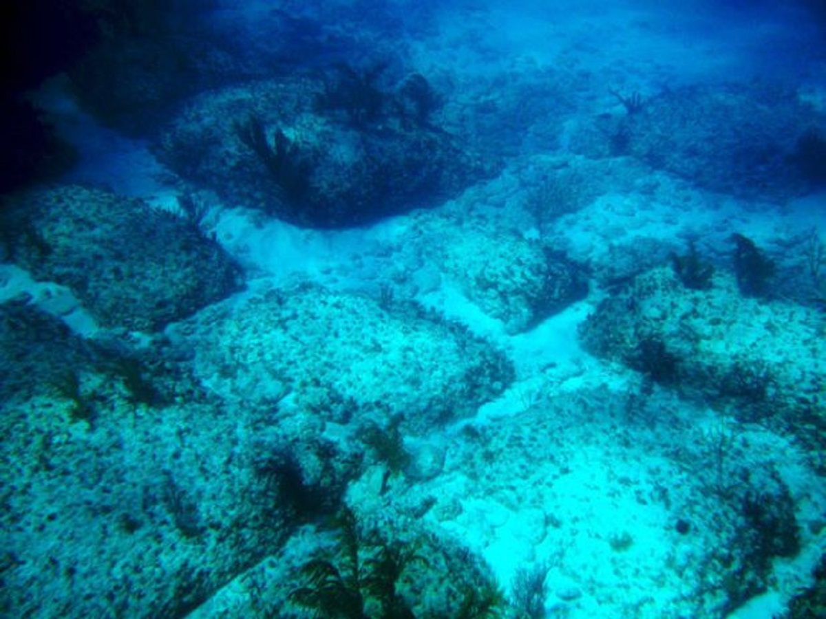 Cos’è la misteriosa “strada di Bimini” sottomarina e dove porta? [VIDEO]