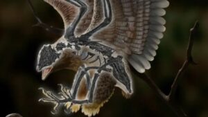 uccello T. Rex