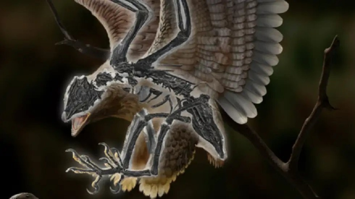 uccello T. Rex