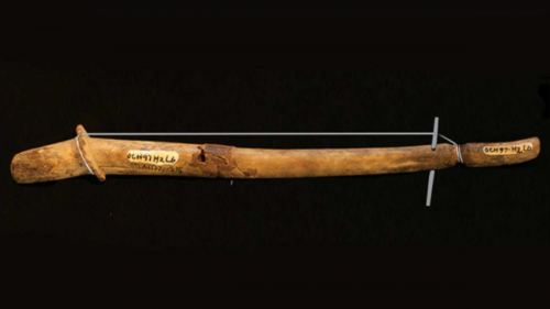Gli archeologi trovano lo strumento musicale a corda più antico del mondo