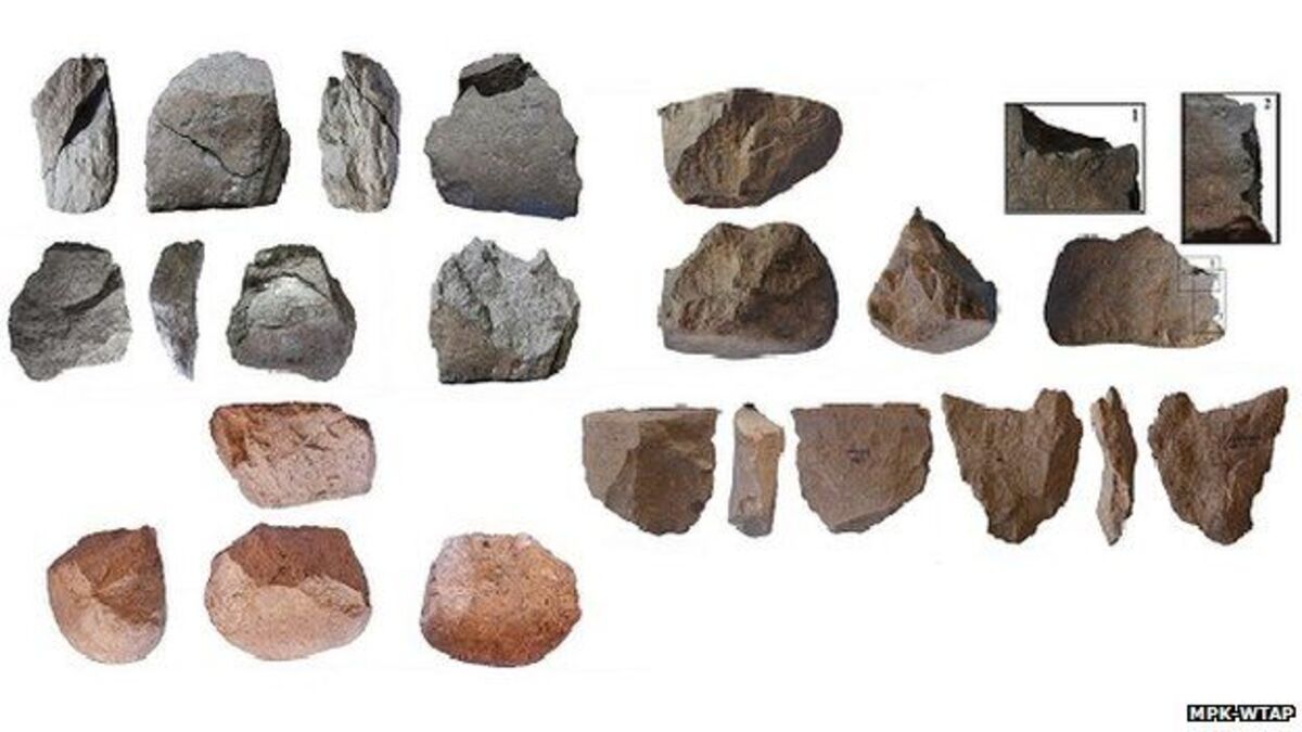 Gli strumenti di pietra più antichi del mondo non sono stati creati dall’uomo. Lo studio