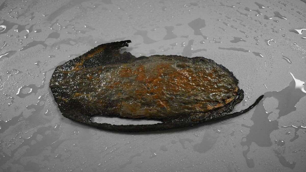 Scarpa di pelle di 3000 anni è stata scoperta su una spiaggia nel Kent, nel Regno Unito