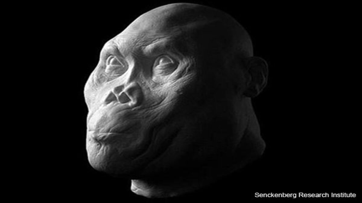 ancient-hominids-reconstruction-1-1-1.jpg