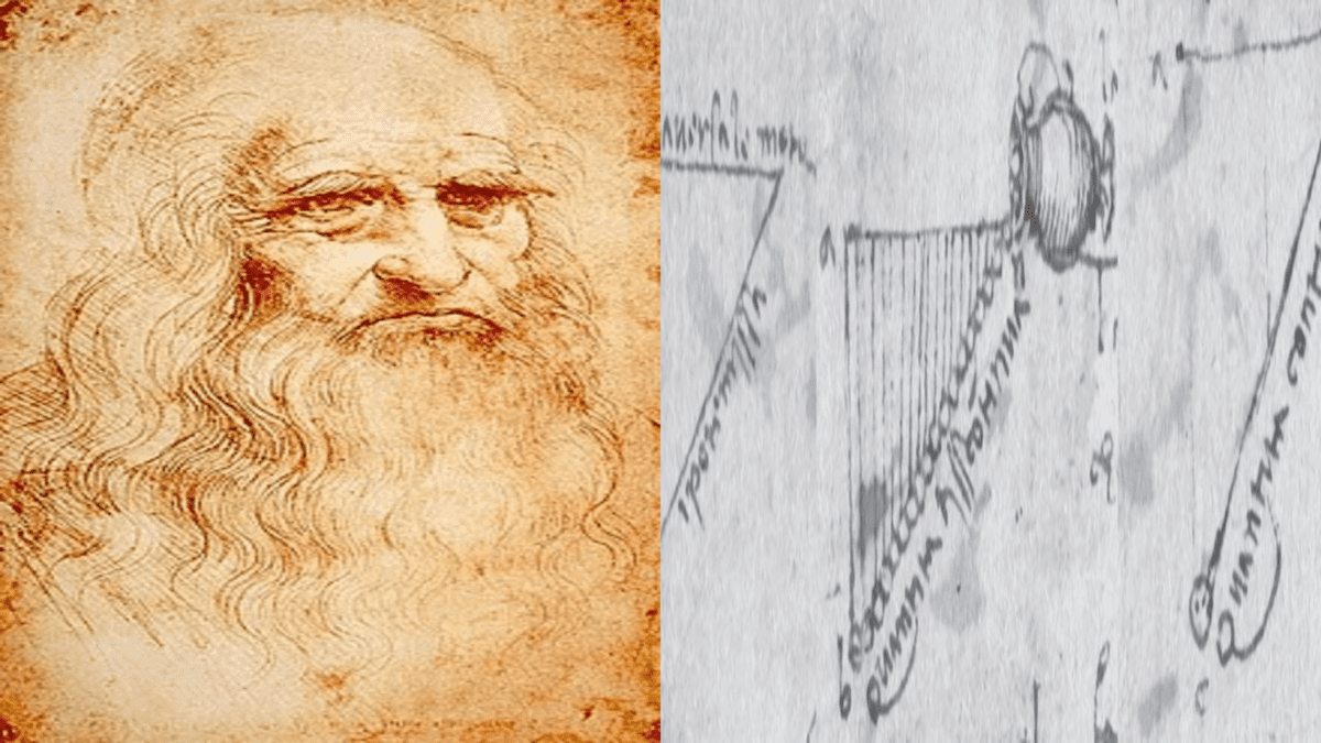 Leonardo scoprì relazione tra gravità e accelerazione prima di Newton ed Einstein