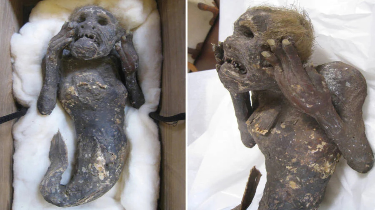 mermaid-mummy-in-box-in-japan-1-1.jpg