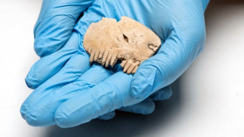 Antico pettine ricavato da un teschio umano scoperto in Inghilterra
