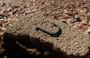 Straordinario annuncio, scoperto un antico amo di 6000 anni fa: come veniva usato