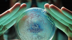 L’OMS avverte: ‘Si sta diffondendo una pandemia silenziosa causata da batteri resistenti agli antibiotici’