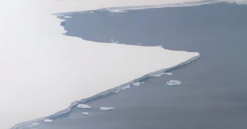 Antartide: l’enorme iceberg A81 ha già percorso 150 Km dal distaccamento di gennaio [VIDEO]