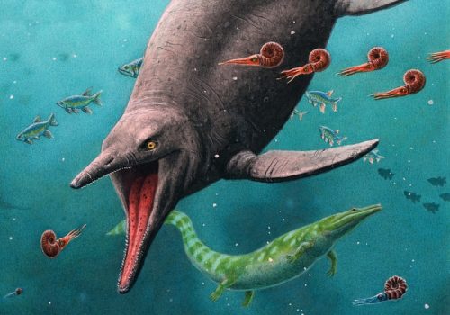 Il mostro marino più antico dei dinosauri trovato su un’isola artica