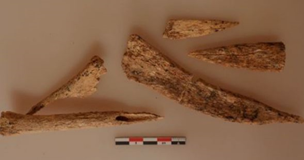 Scoperti strumenti ossei di 7000 anni fa in una tomba: ecco a cosa servivano