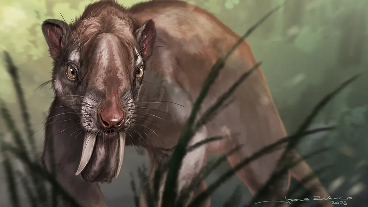 Svelati i segreti di una bizzarra creatura vissuta in Sud America 3milioni di anni fa