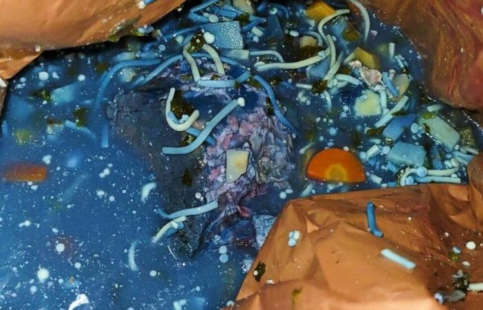 La sua zuppa in frigorifero diventa subito blu: scienziata indaga sul fenomeno