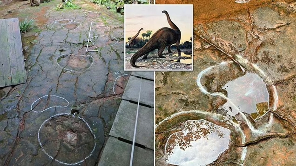 Impronte di dinosauro trovate nel cortile di un ristorante in Cina