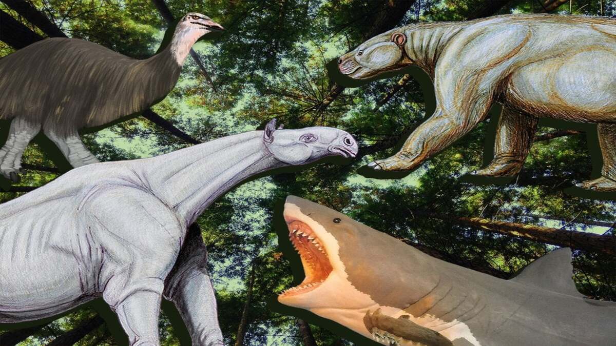 Quali incredibili animali si diffusero dopo i dinosauri? Scopriamolo insieme