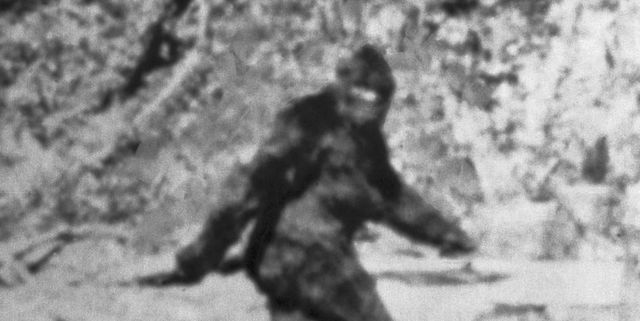 Bigfoot: l’intelligenza artificiale analizza il video risolvendo il mistero
