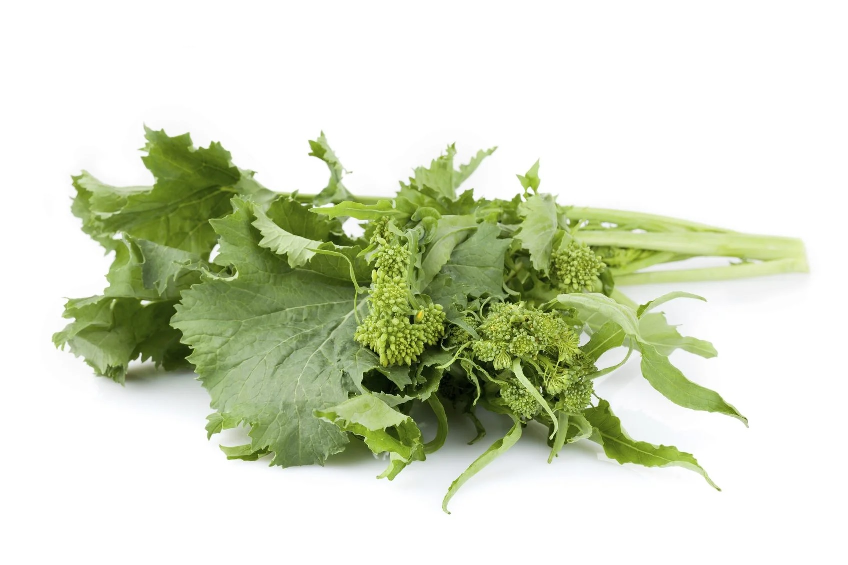Broccoli: scoperti nuovi inaspettati benefici sulla salute