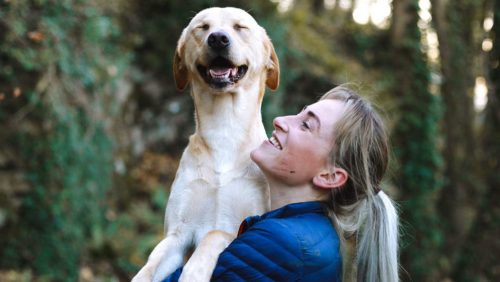 I cani possono riconoscere le persone affette da cancro prima della diagnosi. Lo studio
