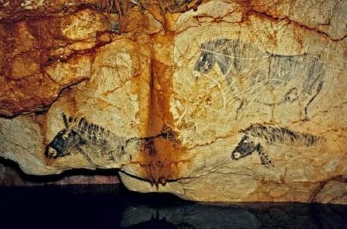 Cosquer Cave: grotta paleolitica decorata, ma l’unico ingresso è a circa 36 metri sott’acqua [VIDEO]