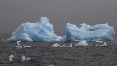 ghiaccio marino antartico