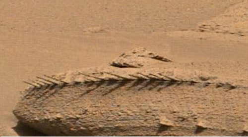 Marte: una strana roccia scoperta nel cratere Gale. ‘La più strana mai osservata’