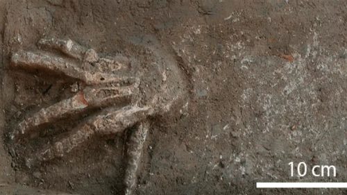 Egitto: scoperte decine di mani mozzate in antiche fosse