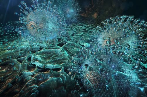 Virus mai visti prima infettano il plancton negli oceani dell’Antartide