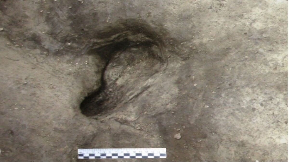 300000-year-old-snapsh-1-1.jpg