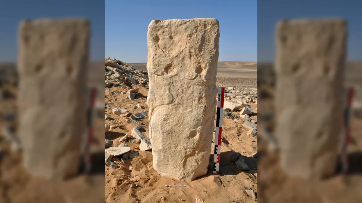 Arabia: incisioni di 8.000 anni fa rappresentano i progetti delle ‘megastrutture’ più antiche al mondo