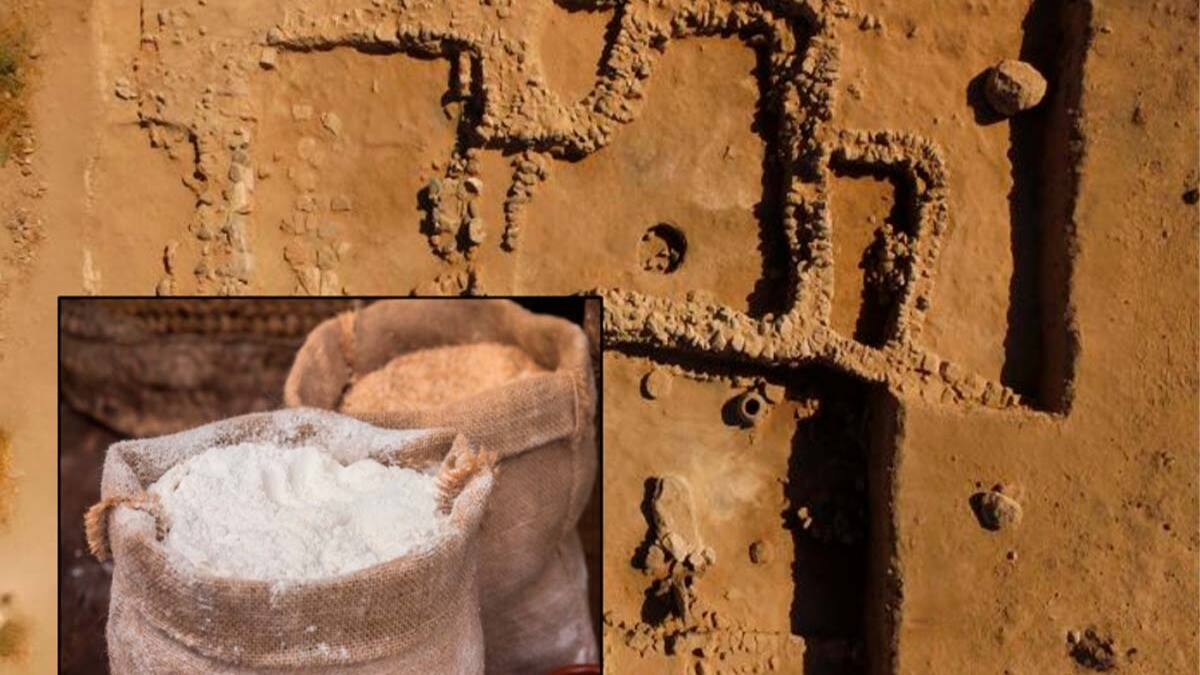 Scoperto panificio di 3000 anni fa con sacchi di farina intatti