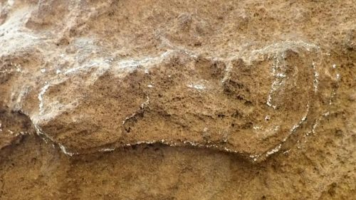 Scoperta in Sud Africa l’impronta di Homo Sapiens più antica al mondo