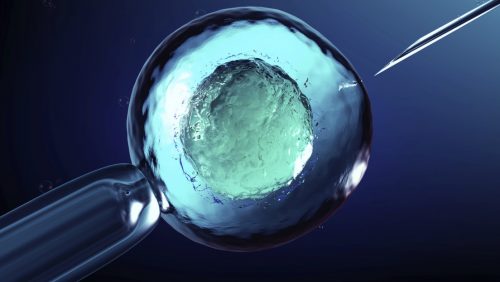 Gran Bretagna: nato il primo bambino con DNA di tre persone
