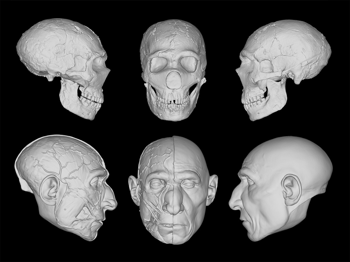 Esseri umani: nasi più grandi ereditati dai Neanderthal