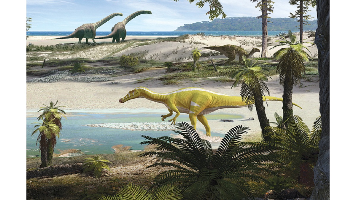 Spagna: trovate ossa di spinosauridi, possibile luogo di nascita dei grandi dinosauri carnivori