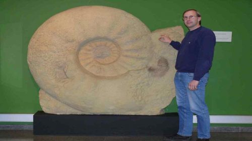 Ecco il fossile di Ammonite più grande mai scoperto