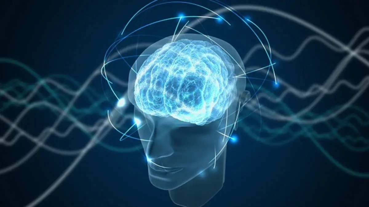Vortex-of-cortex-1-1.jpeg